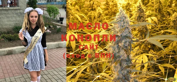 тгк Алзамай