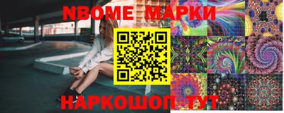 сатива Ставрополь