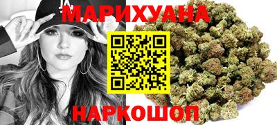 сатива Ставрополь