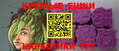 сатива Ставрополь