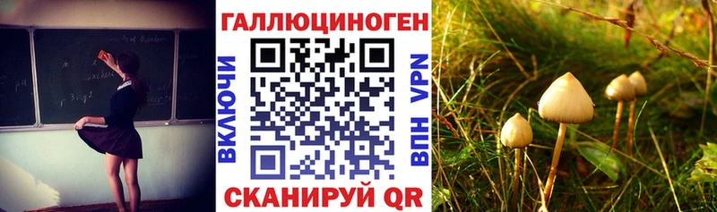площадка как зайти  Старый Оскол  Галлюциногенные грибы мухоморы 